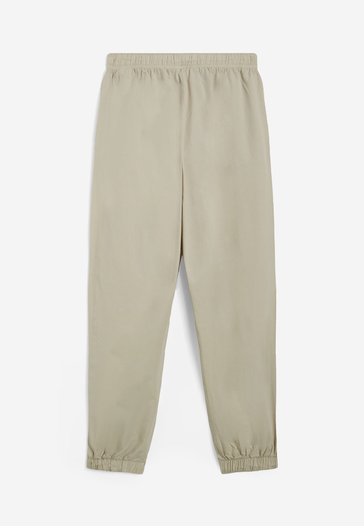 anines404z83 (7).jpg